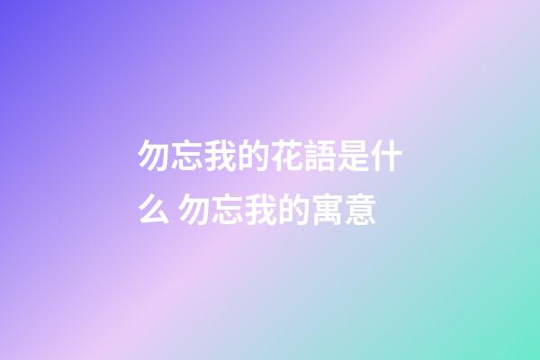 勿忘我的花語是什么 勿忘我的寓意